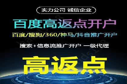 案例解析：揭秘高效竞价推广技巧